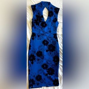 Almost Famous, Royal Blue Dress